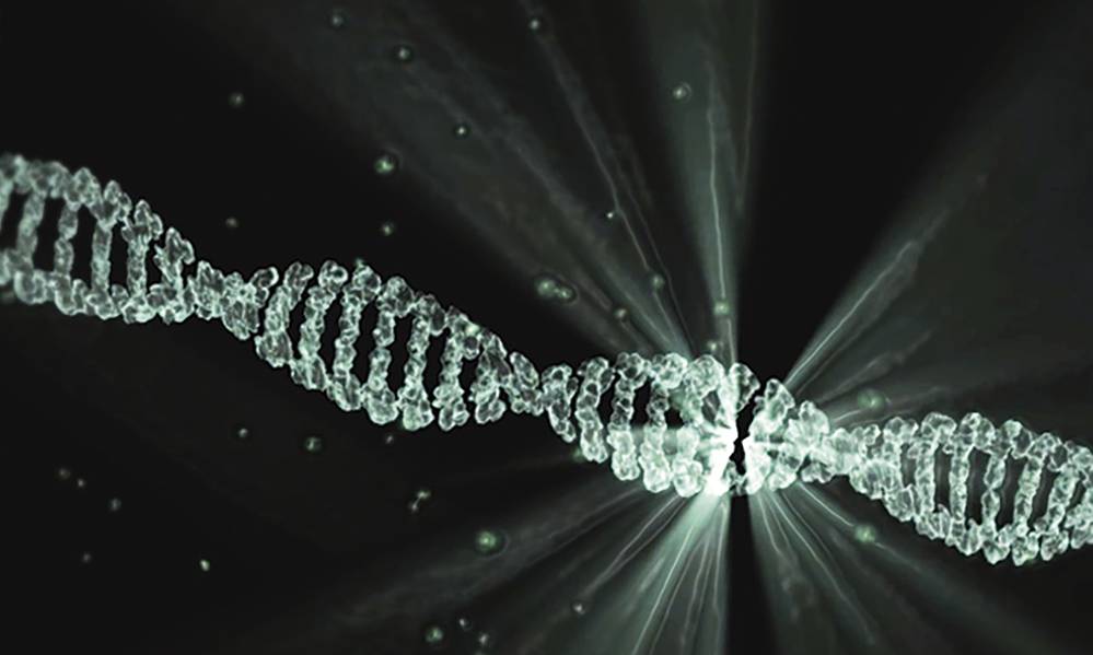 Read the PLOS article about a FAIR guide for data providers to maximize sharing of human genomic data