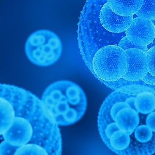 MDS-2: A retrospective study of patients with Myelodysplastic Syndrome