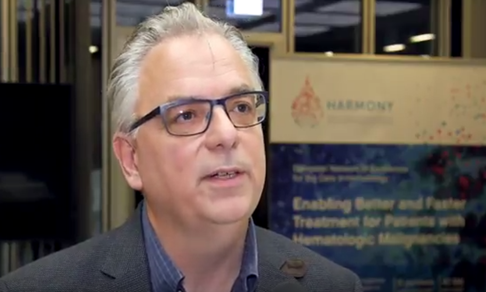 Listen to: Michel van Speybroeck, JPNV-JANSSEN, HARMONY Partner, WP4 Leader, about the data platform