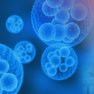 CML-2: Using Big Data to Map and Identify Optimal Treatment Pathways to Treatment-Free Remission in CML