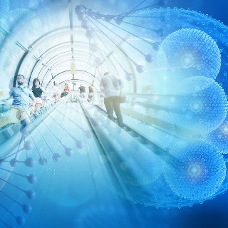 MPN: Delphi Survey Project: Towards a Core Outcome Set for Myeloproliferative Neoplasms (MPN) 