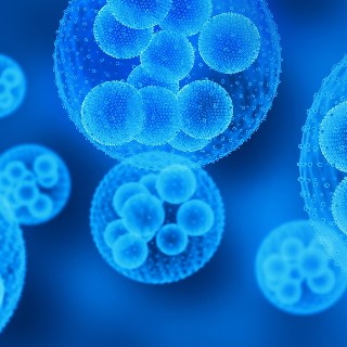 AML-7: The impact of gender on genetic aberrations and clinical outcomes in AML